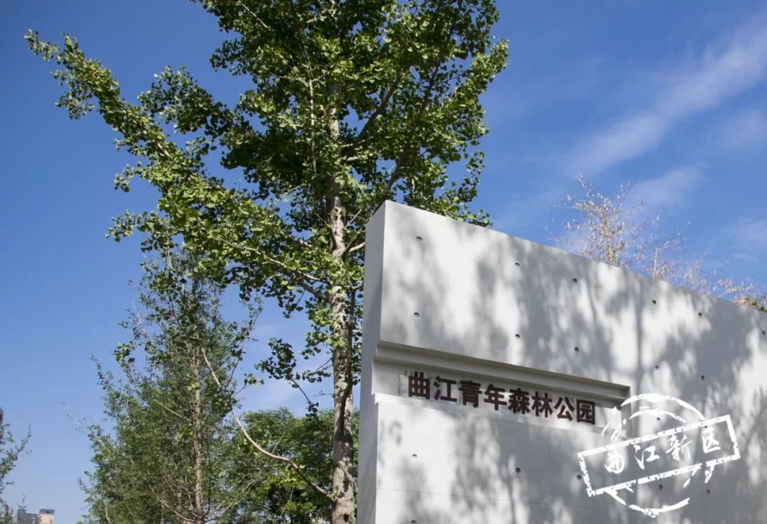 初夏可以去哪旅行,夏天周末去哪儿玩