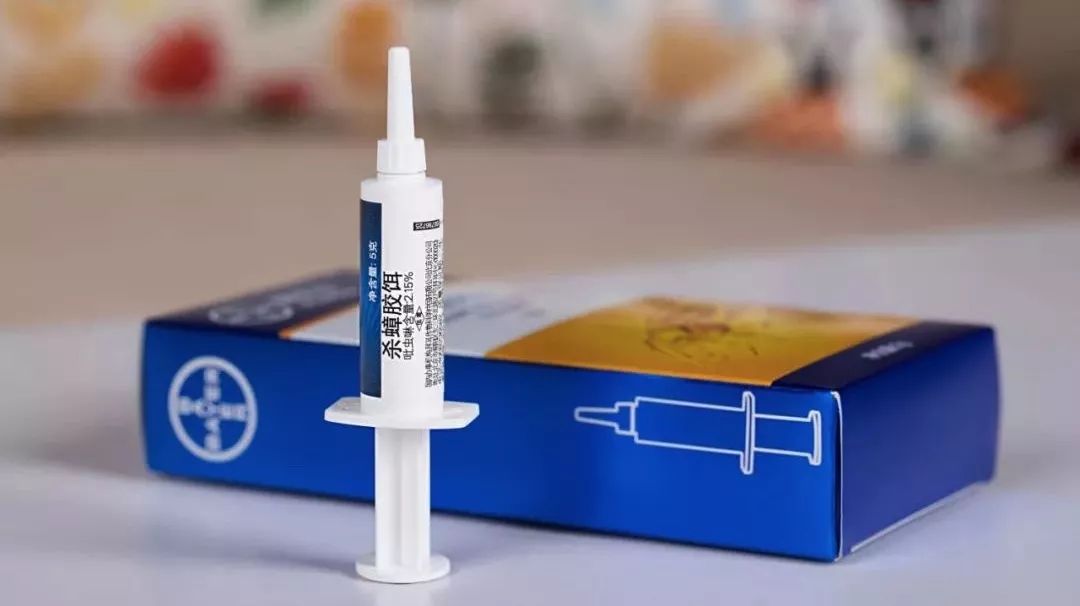 想要消灭家里蟑螂,家里有蟑螂可以请专业人士来灭吗