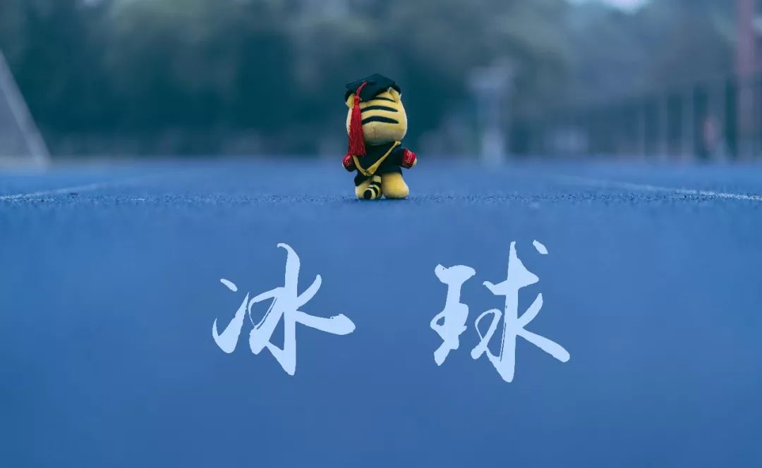 北京运动乐园室内轮滑旱冰场,室内真冰滑冰场设备