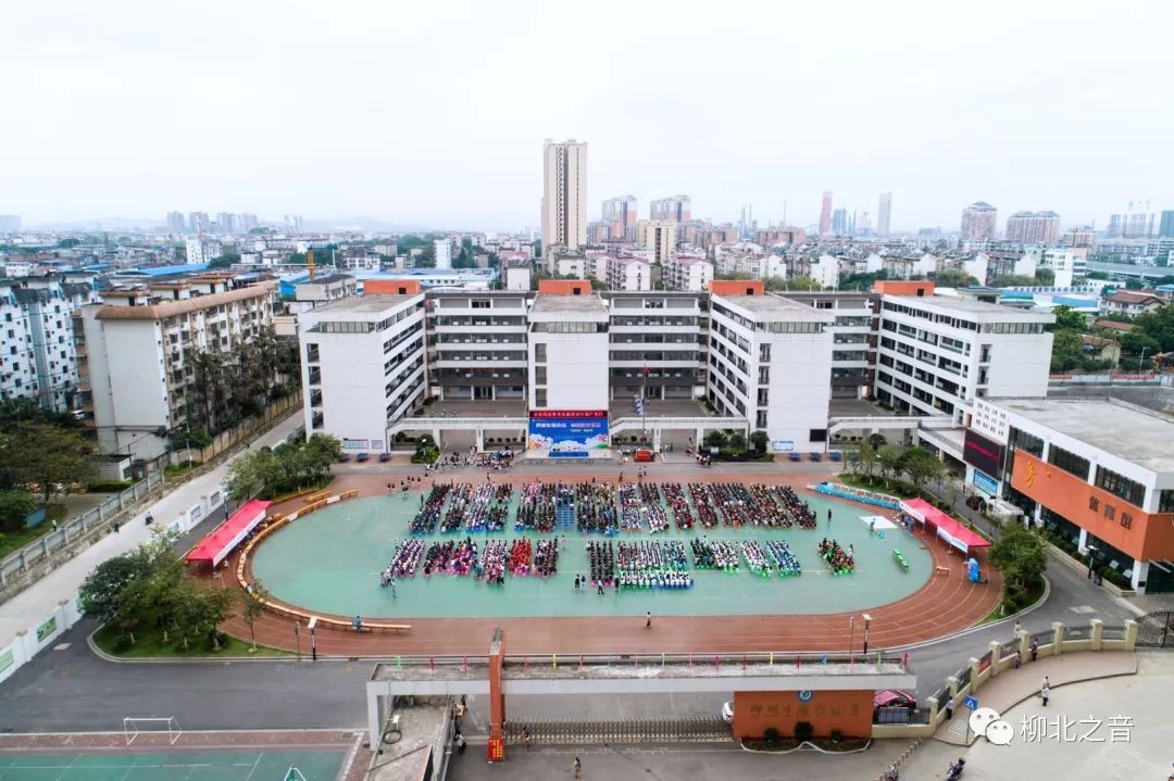 【名师亮校】胜在己,利于行!原来你是这样的胜利小学~