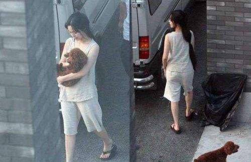 仙仙裤夏天,超仙凉感冰丝裤