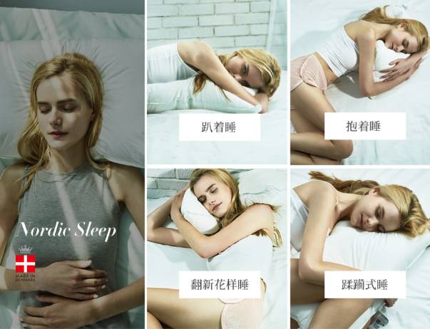 丹麦皇室用什么枕头好 (丹麦最好用的枕头)