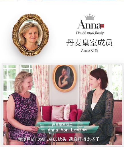 丹麦皇家乳胶枕头,丹麦珊瑚绒枕头