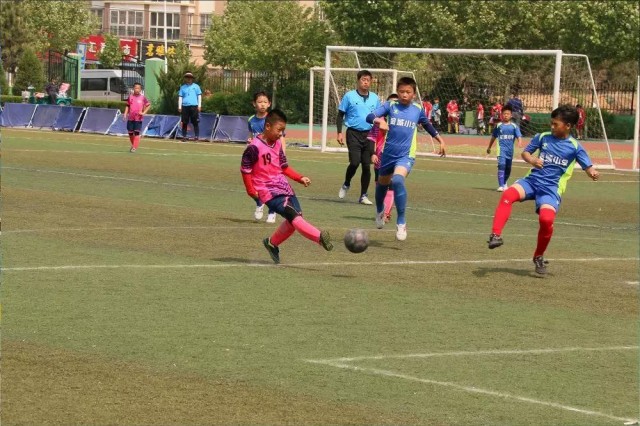 招远市长杯足球赛2023小学组,2019招远市长杯足球赛