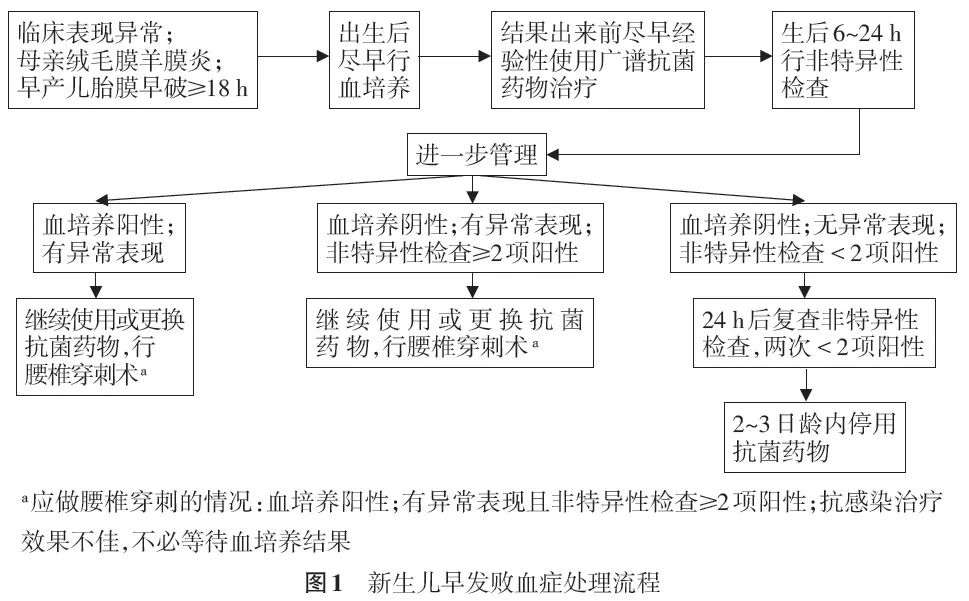 新生儿败血症2019治愈率,新生儿败血症诊断及治疗专家