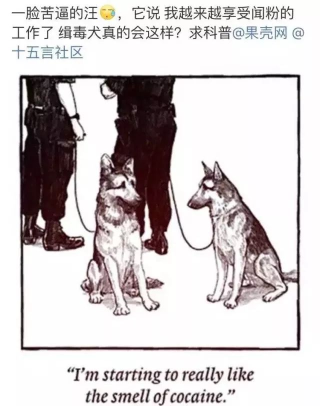 闻毒品气味算吸毒吗,缉毒犬闻毒