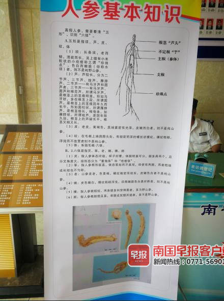 西红柿怎么辨别是不是催熟的,西红柿怎样辨别人工授粉和催熟