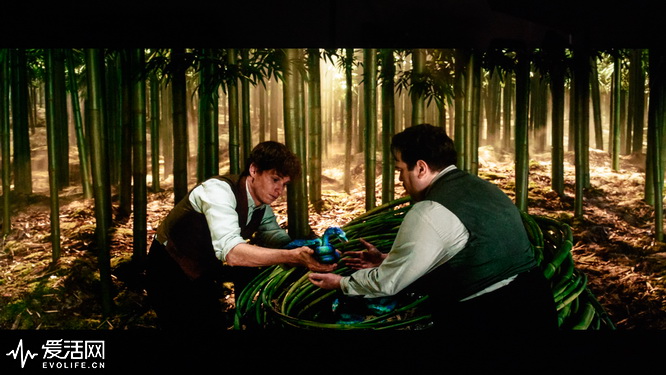 鏉句笅鐢佃th-75hx800c瀵规瘮璇勬祴,鏉句笅鐢佃th-65gx