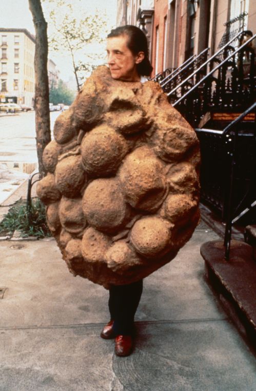 路易斯布尔乔亚细胞,路易斯布尔乔亚作品解读