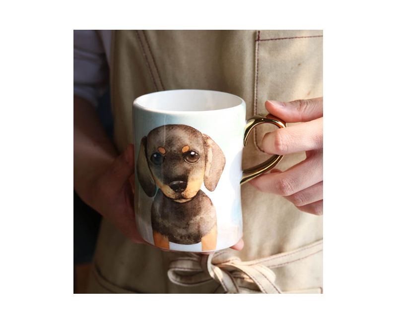 用价值上亿的杯子喝水,喝开水用的杯子什么质量好