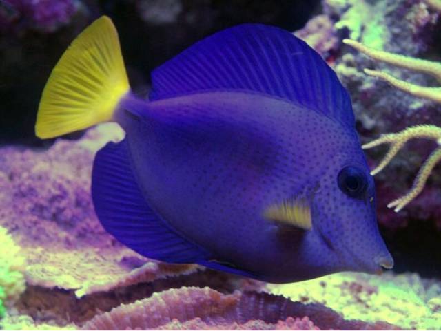 鉴定完毕就是好人吗,鉴定完毕就是亲生的没错了