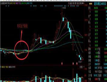 垃圾股中的垃圾股,什么是垃圾股如何避开垃圾股