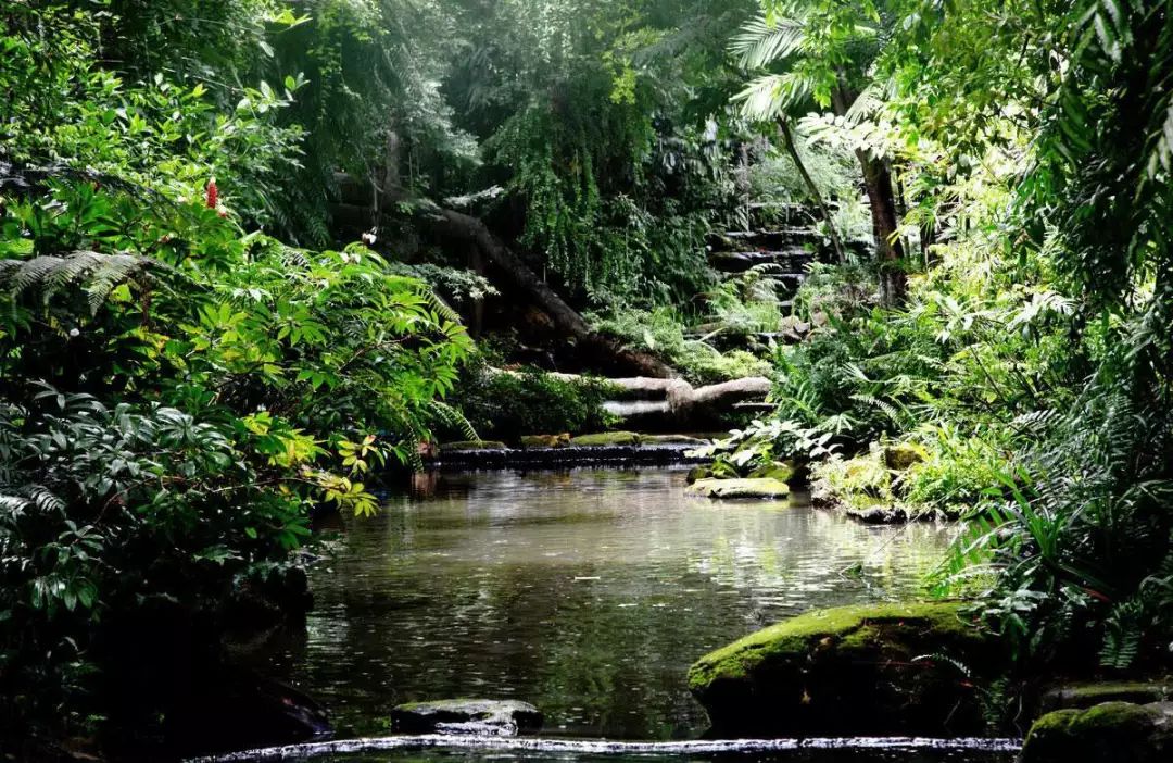 泰国防蚊虫叮咬药膏推荐,蚊子叮咬泰国青草膏哪种止痒最快