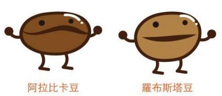 超实用的咖啡小知识,咖啡小白必须知道的咖啡知识