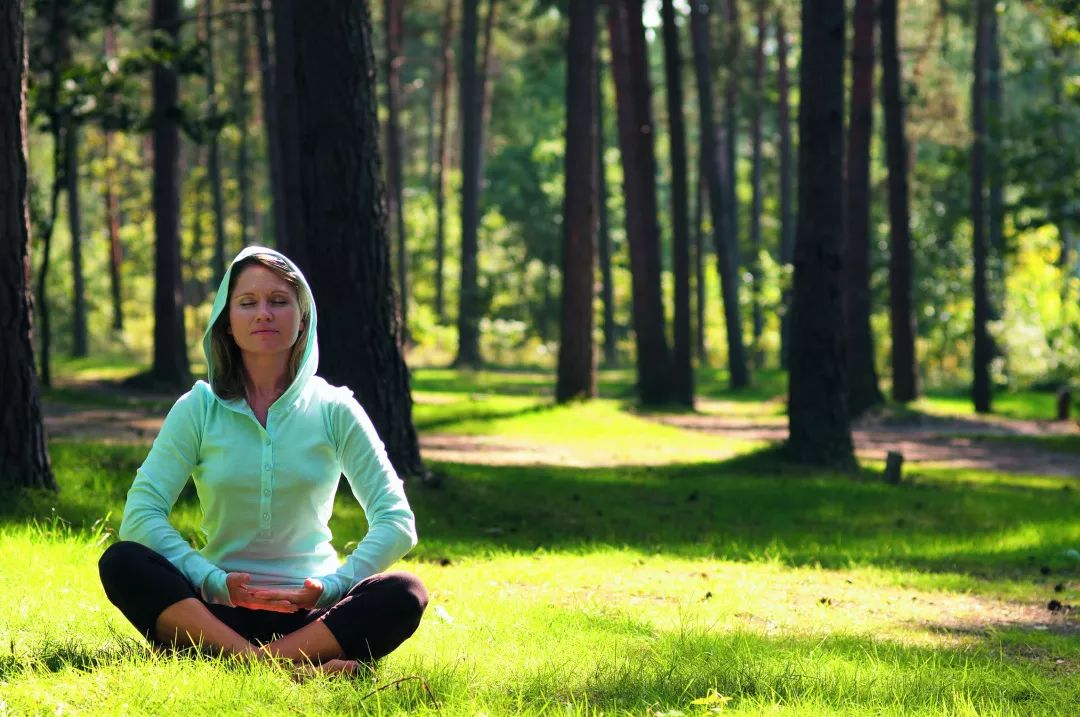 《薄伽梵歌》职场守则报告书丨附1组日间习练序列以及1个呼吸控制法