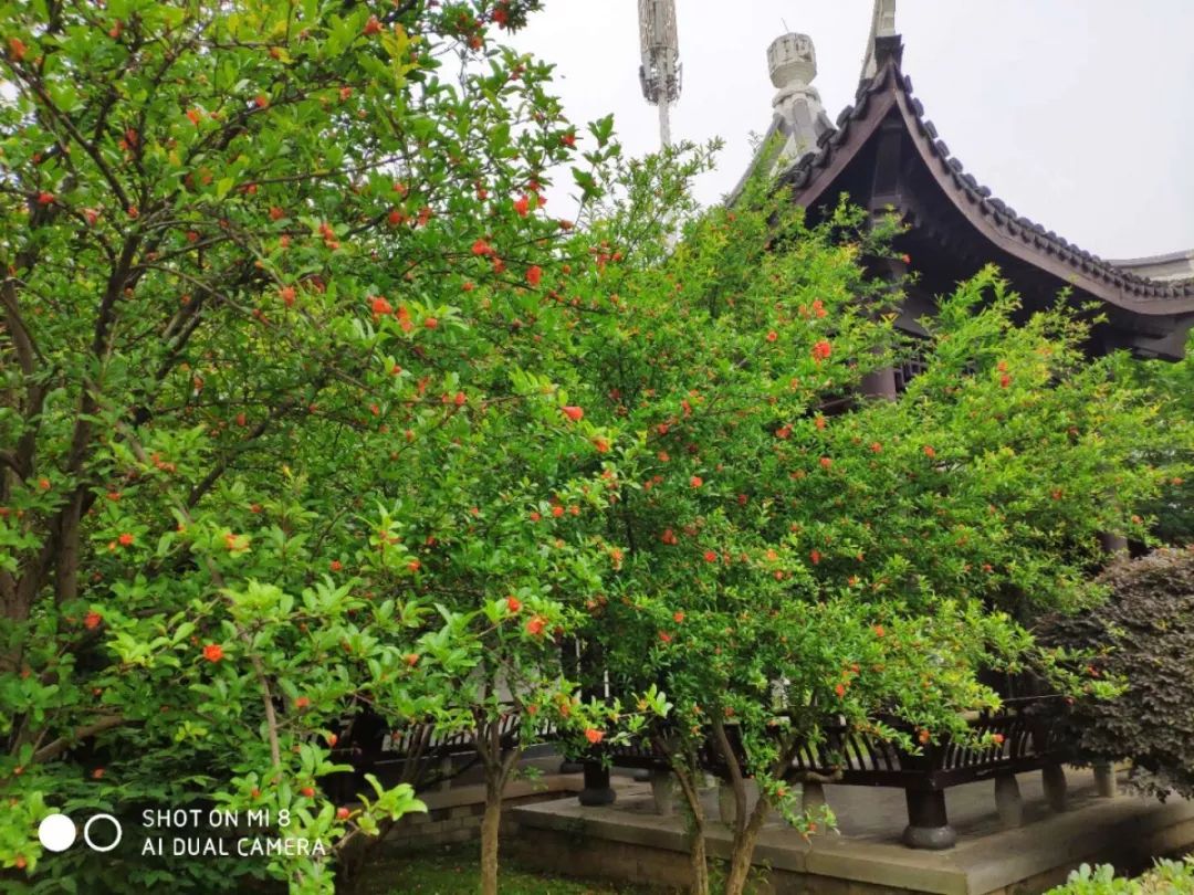 湘潭人居环境排名,湘潭城市环境怎样