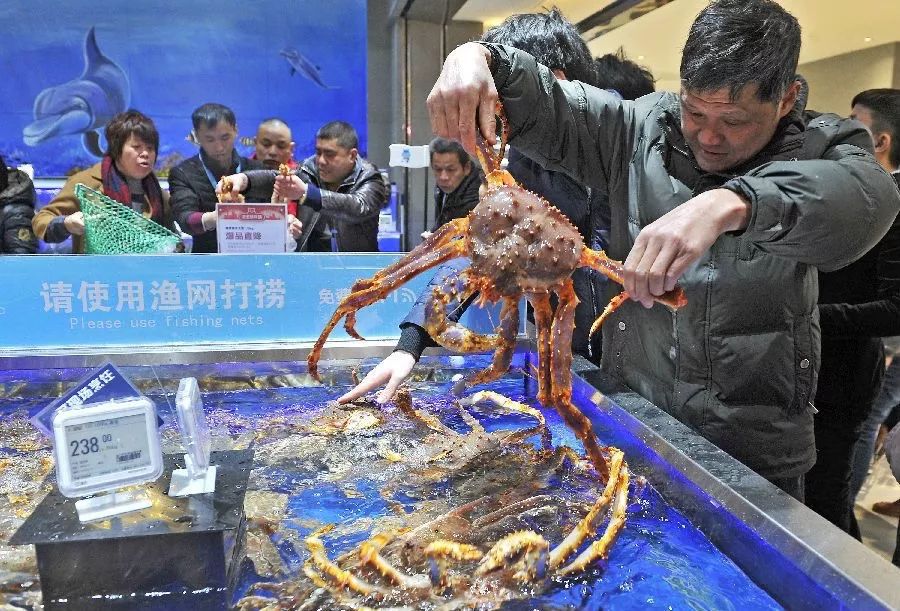 盒马鲜生探店攻略,盒马鲜生三周最美好回忆