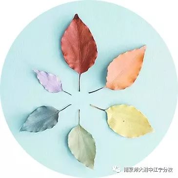 【小学部】我们的幸福不一样——走进小学部系列报道（十一）