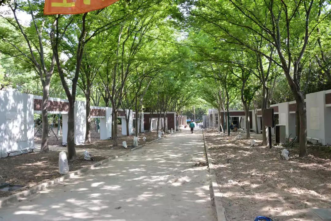 虹桥河滨公园优惠团购,虹桥河滨公园所在地