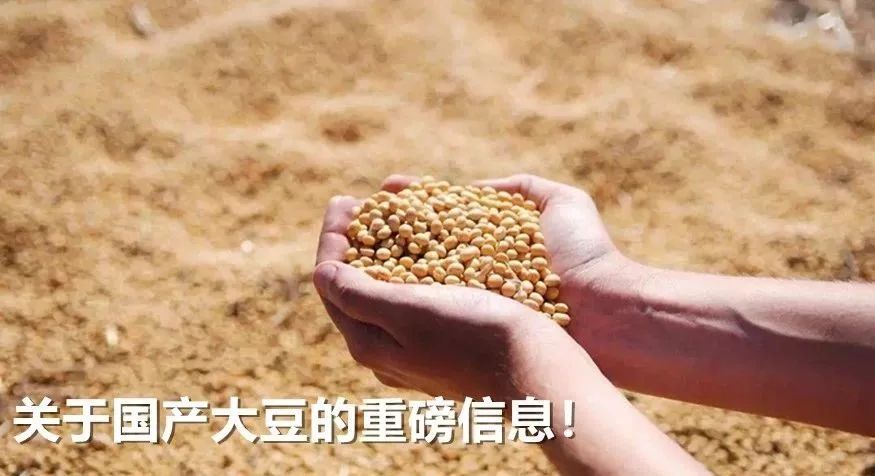 最新印度挖掘机视频,印度最先进的挖掘机