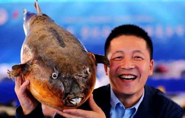 唐山景区排名前十名,唐山景区最新公示