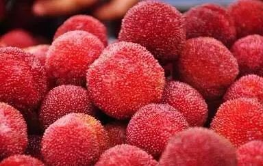 老太尝鲜杨梅却直接进ICU！永康侬注意！这种说法别信！