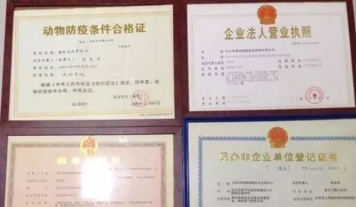 养殖申请国家补贴都需要什么手续,国家有养殖补贴这个项目吗