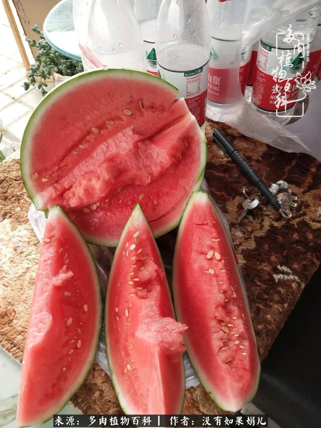 一个80后的养殖人,农村80后养肉人