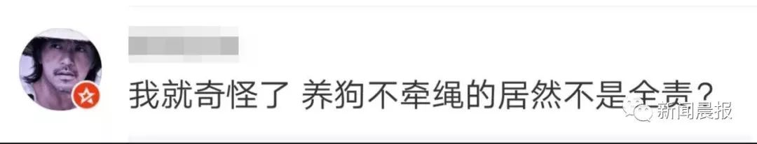 女子开车撞狗怎么判,女子驾车撞狗被判主责