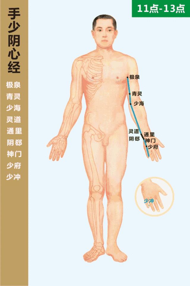 经络最全动图,经络高清穴位大图