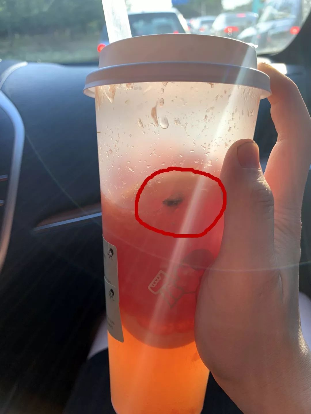 孕妇喝了喜茶,喜茶喝出绿头苍蝇身