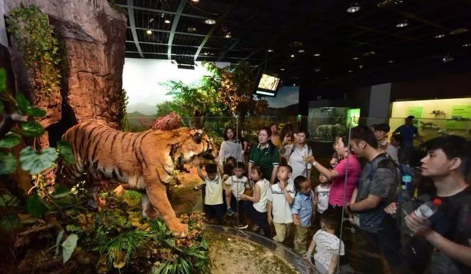 六一儿童节里的大礼包有什么,六一儿童节大礼包通常有什么