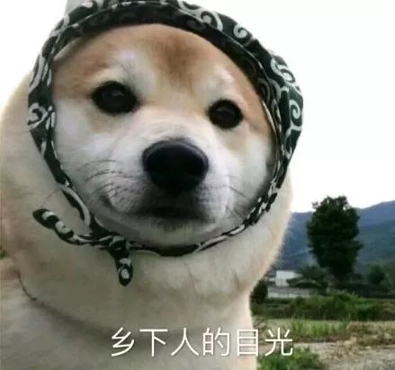 我怀疑你在开车但是我有证据,我怀疑你在开车但又找不到证据