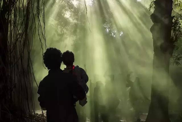 影向标|影评人对《阿拉丁》无感