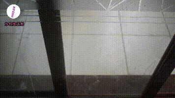 苹果烂了别扔越乱越值钱,苹果烂了千万别扔掉有妙招