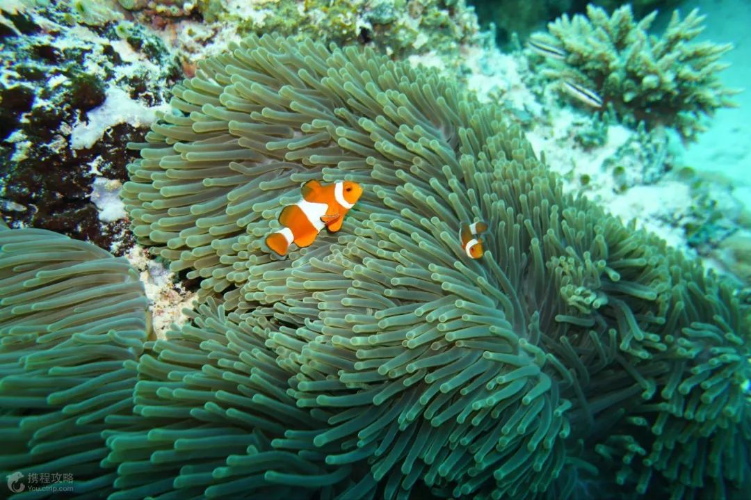 最便宜免签的海岛,小众便宜国外海岛旅游免签