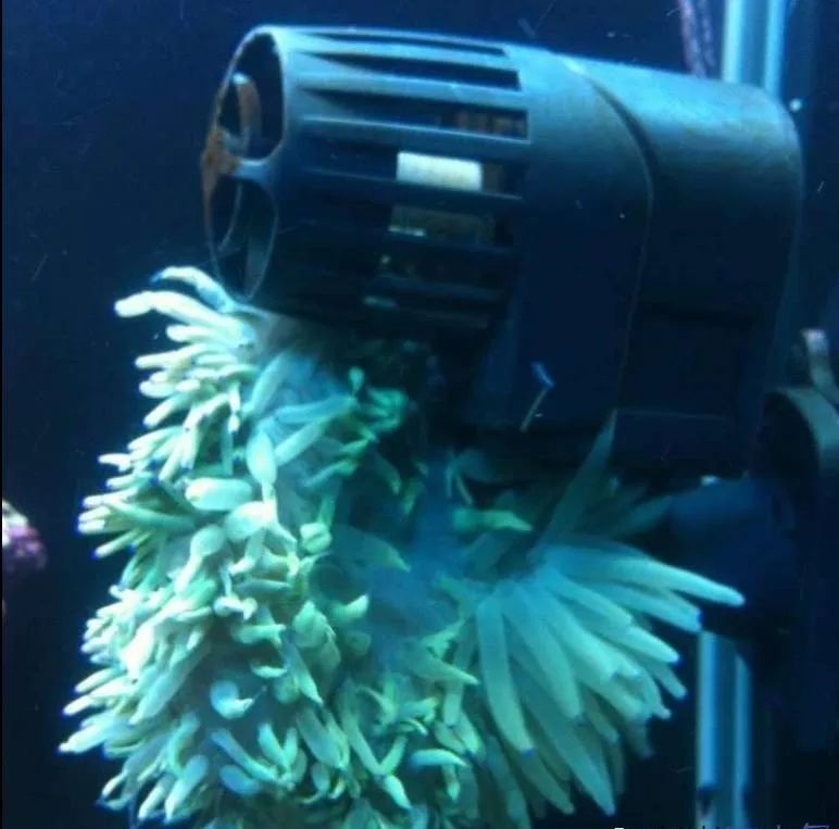 校准ph偏低,ph数值低