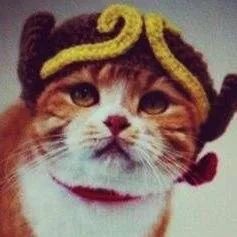 广东人连买6罐，杭州人连买12罐的杭州特产|饱记上新