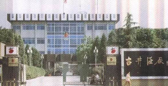 老照片100张阜阳三角洲,高清阜阳八十年代照片