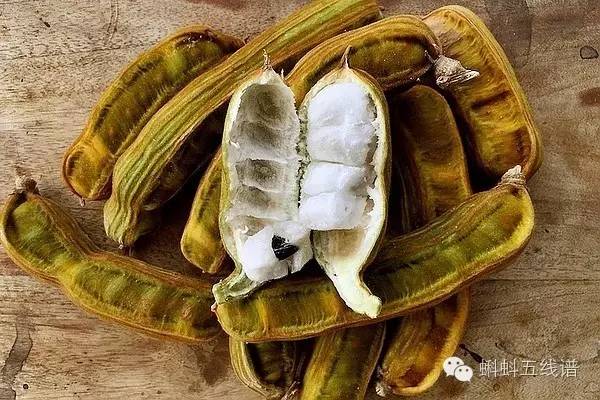 世界十大难吃水果,世界最坑人水果