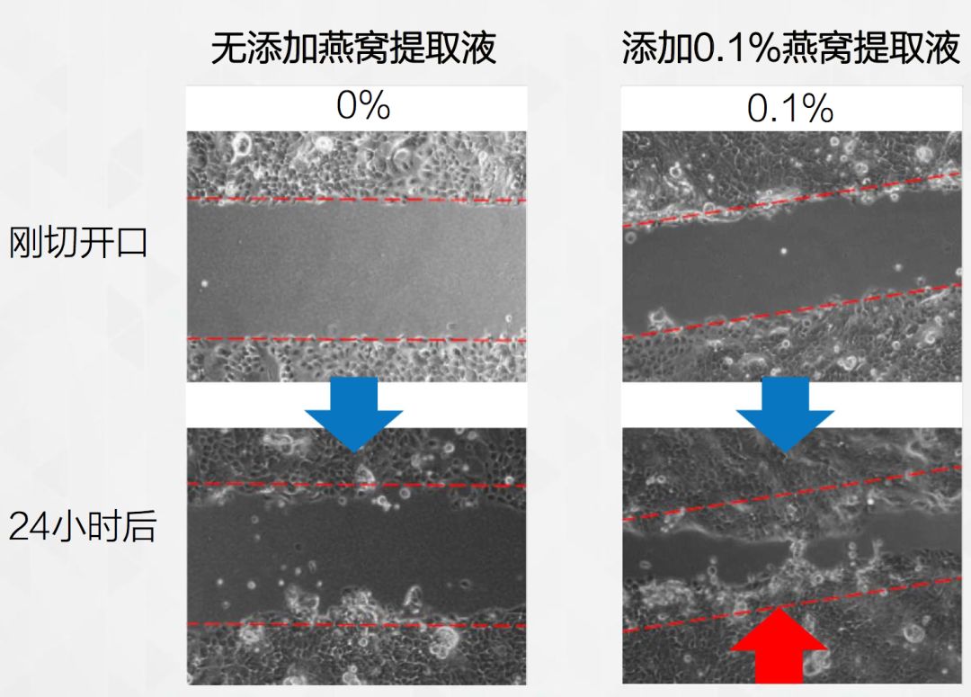 大促活动最低价和秒杀,大促精选好物