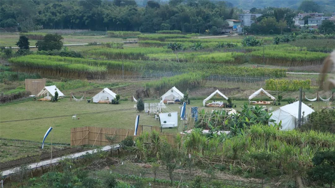 7个闺蜜在稻田里爆改了个“玻璃盒子”，只为兑现养老之约，却意外走红