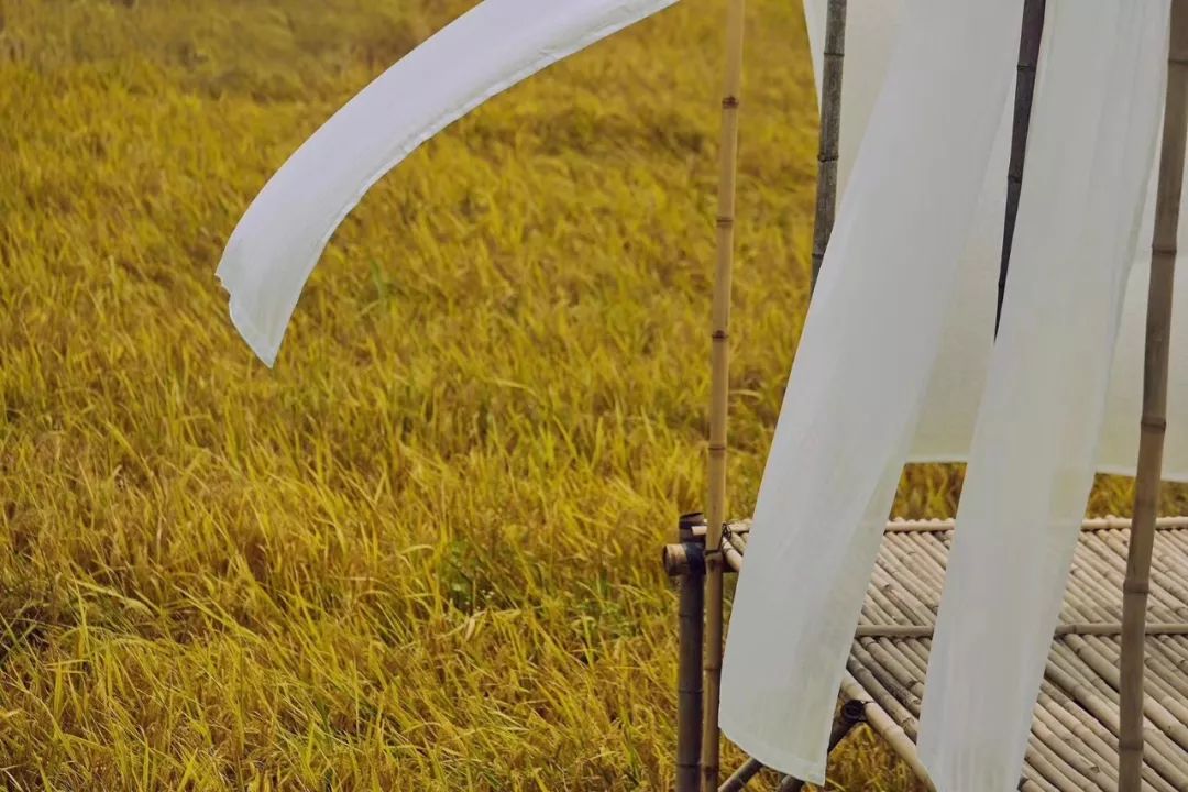 7个闺蜜在稻田里爆改了个“玻璃盒子”，只为兑现养老之约，却意外走红