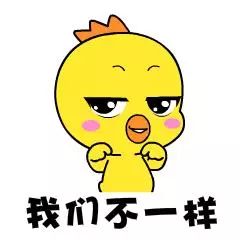 天津四大神兽,遛狗遛猫哪个容易