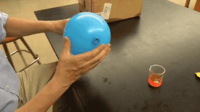 牛皮容易吹爆，但用这种普通食材泡过的气球戳不爆|科学DIY