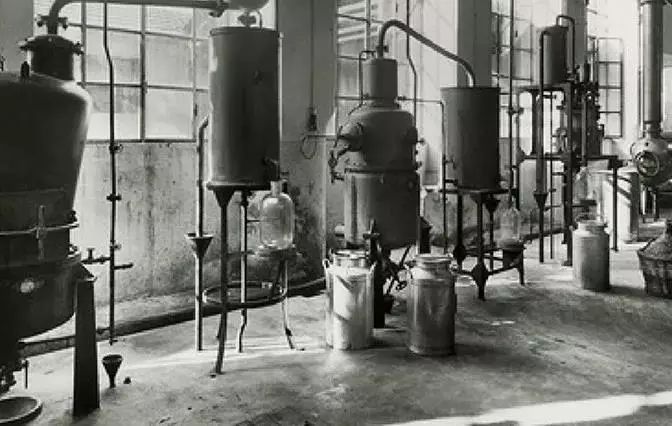 驱蚊手环林允,林允驱蚊手环