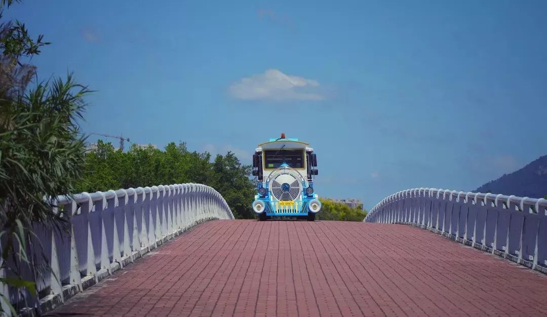 厦门适合带孩子去玩的地方推荐,厦门6月份哪里好玩