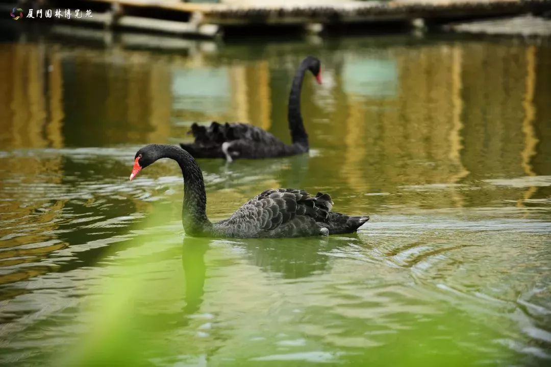 厦门适合带孩子去玩的地方推荐,厦门6月份哪里好玩