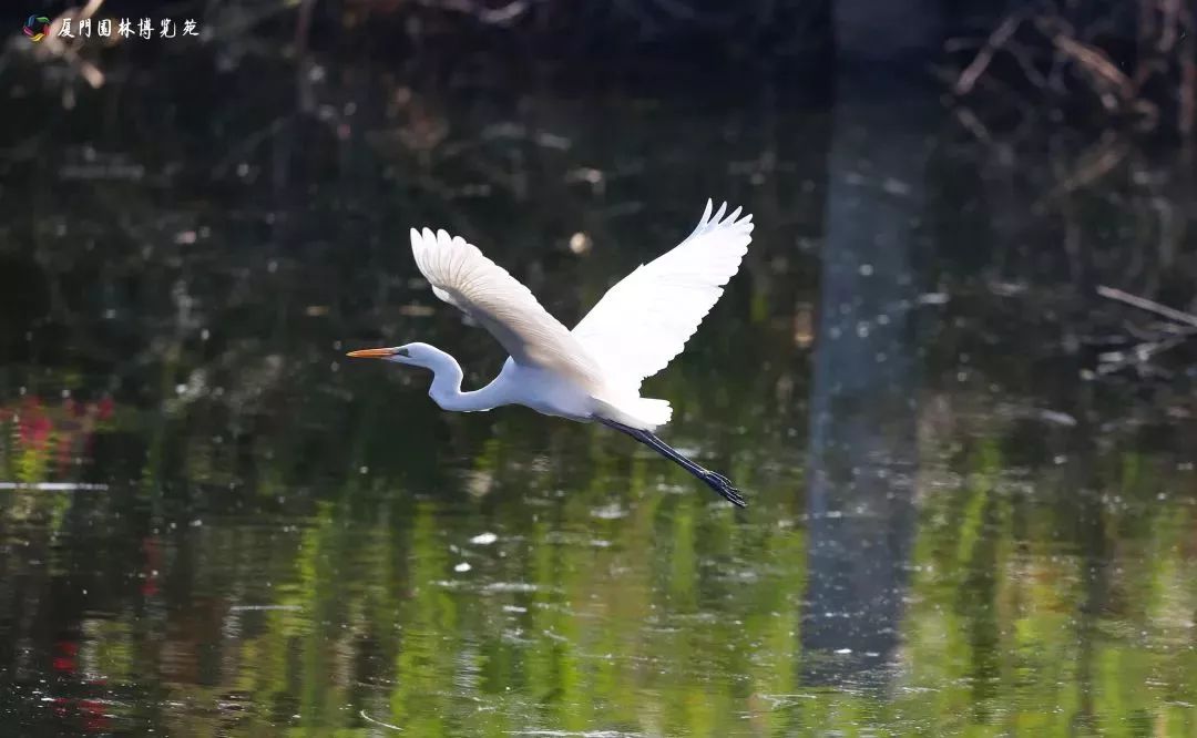 厦门适合带孩子去玩的地方推荐,厦门6月份哪里好玩