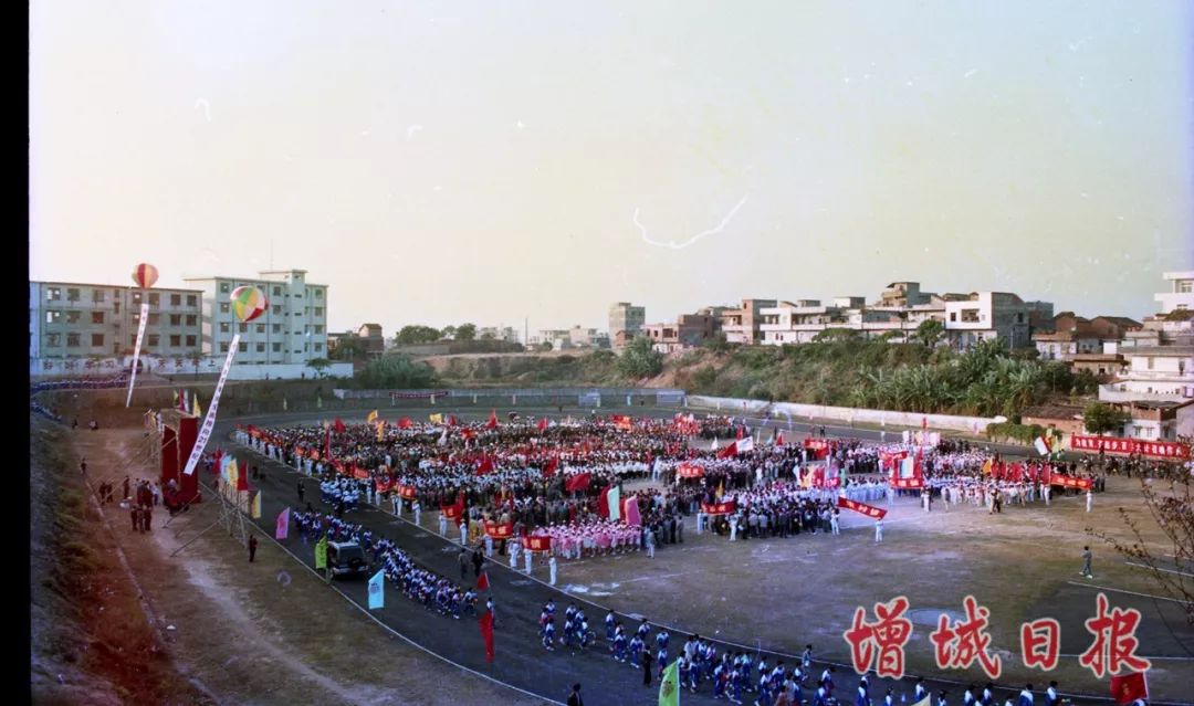 60张照片回忆成长,60多张老照片的回忆